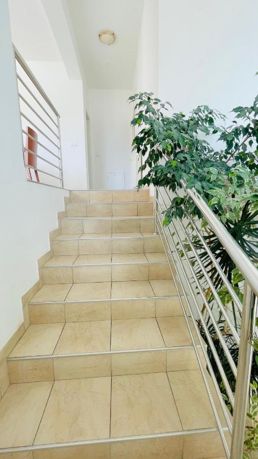 Villa Maestral Zadar Exterior foto